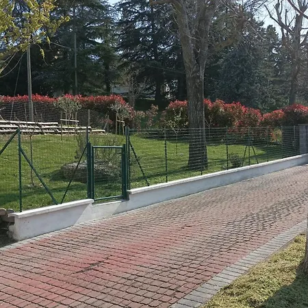 7 Olmi Bologna