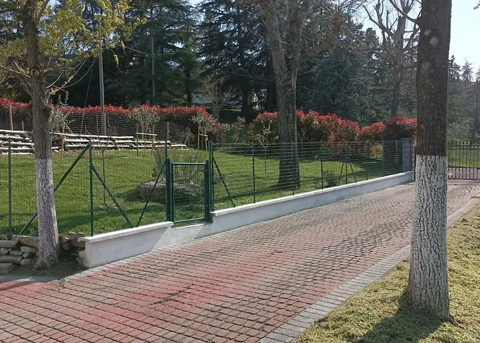 7 Olmi Bologna