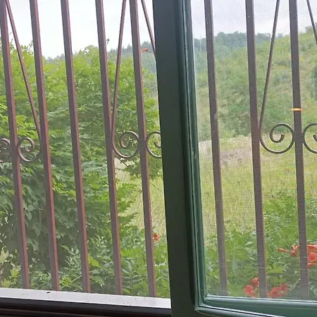 Bed & Breakfast 7 Olmi Bologna *