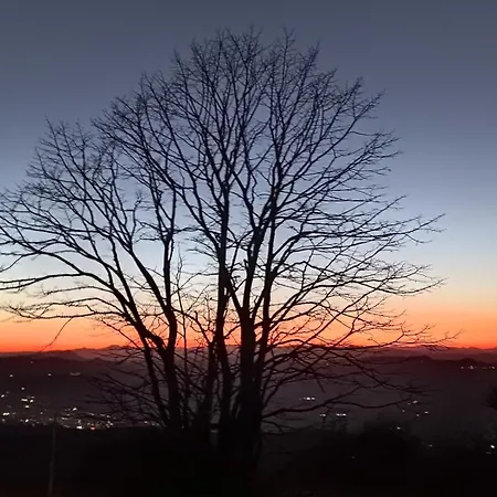 فندق مبيت وإفطار 7 Olmi Bologna