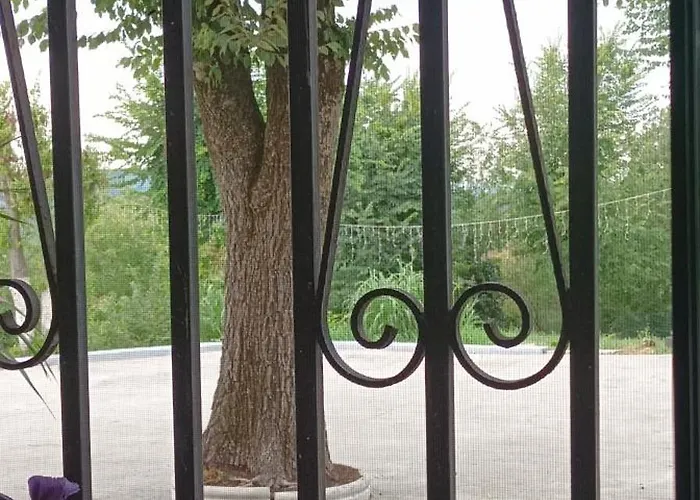 7 Olmi Bologna كارتيريا دي سيستو را