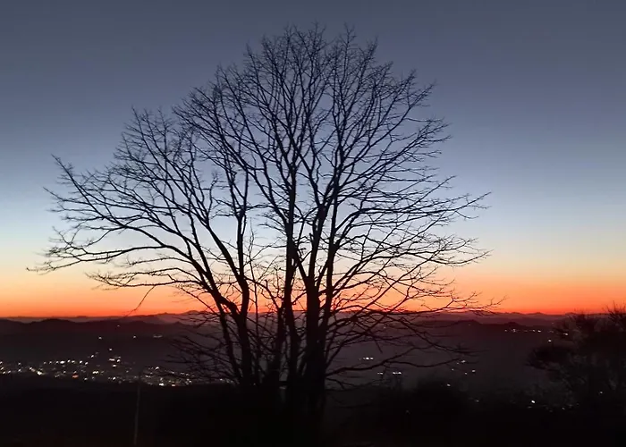 فندق مبيت وإفطار 7 Olmi Bologna