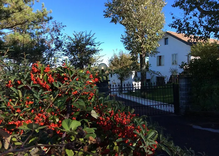 Couette-café 7 Olmi Bologna