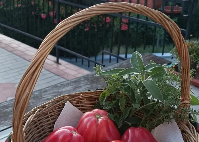 7 Olmi Bologna فندق مبيت وإفطار 4*